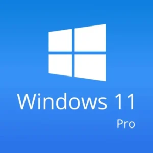 Windows 11 Professional